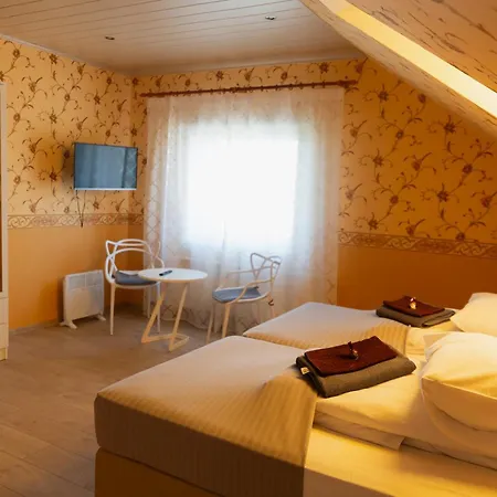 Konrad Family Guest house *